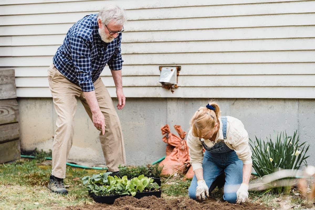 senior jardinage